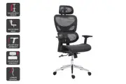 Ergolux EZ11 Ergonomic Office Chair with Dynamic Lumbar Support