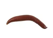 Berkley Gulp Floating Pinched Crawler, 2" Nightcrawler, GHFPC2-NC, Pack of 6
