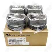 Engine Piston & Piston Ring & Pin Set Fit for Kia Soul 1.6L 10-11 Hyundai Accent