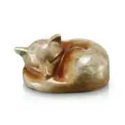 Anecdotal Aardvark Snuggling Fox