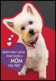 Greeting Card - Dog Puppy White Terrier - For Mother - Valentine's Day - 0546