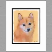 Finnish Spitz Original Art Print 8x10 Matted to 11x14