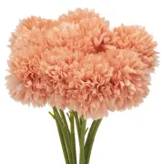 Artificial Flower Heads, Silk Chrysanthemum Hydrangea Orange Faux Flowers 10Pcs