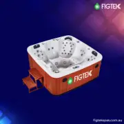 FIGTEK SPA - Filter:1pc
