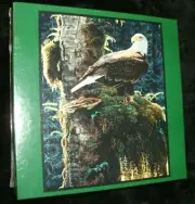 NATURE'S CHAPEL Puzzle--500 Piece--Bits & Pieces--BRAND NEW--FREE SHIPPING