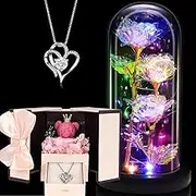 Preserved 2 Piece Gifts Set for Women, Gifts for Mom Wife Women Sister Grandma Girlfriend Her, Mothers Gifts Day from Daughter Son Birthday, Light Up Rose Flowers in Glass Dome