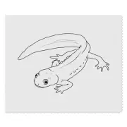2 x 'Cute Newt' Microfibre Lens / Glasses Cleaning Cloths (LC00019924)
