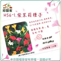 在飛比找Yahoo奇摩購物中心優惠-【綠藝家】H56-1.紫茉莉種子10顆(貝魯)