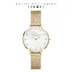 Daniel Wellington 手錶 Petite Lumine 28mm 星辰系列貝母盤麥穗鋼琴錶-冰川白-三色任選(DW00100590 DW00100592 DW00100594)/ 香檳金