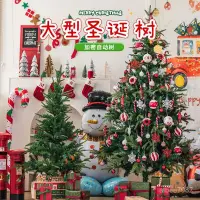 在飛比找蝦皮商城精選優惠-聖誕節聖誕樹裝飾品造景擺件商場幼兒園戶外場景氛圍佈置拍照道具