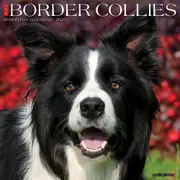 2025 Border Collies Wall Calendar