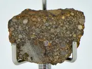 5g LL3.00 Unequilibrated Primitive Chondrite End Cut - TOP METEORITE
