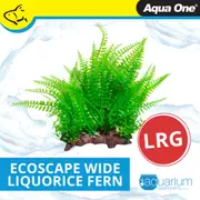 Aqua One Ecoscape Large Wide Liquorice Fern/Eagle Fern Green (28262)