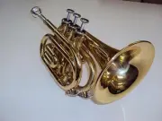 Japan'S First Landing Axisdecabelle Mini Trumpet Lq