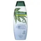 Anti Dandruff 2 in 1 Hair Shampoo and Conditioner, 350Ml
