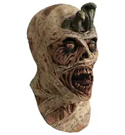 Cursed Mummy Egyptian Horror Corpse Child Boys Costume Overhead Mask