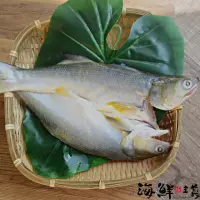 在飛比找momo購物網優惠-【海鮮主義】鮮味滿滿午仔魚蝴蝶開10包(200g±10%/包