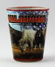 Oklahoma State Buffalo-USA Flag Glassware Shot Glass RTP