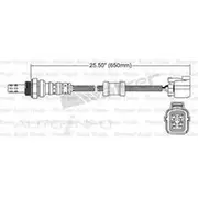 PAT Oxygen Sensor - EGO-271