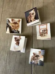 Greeting Cards Super Cute cards with cute dogs- Set Of 5 Cards