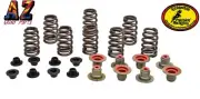 Polaris RZR XP1000 XP 1000 900 Turbo Kibblewhite Beehive Race Valves Springs Kit