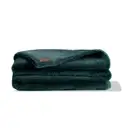 NWT UnHide Lil’ Marsh Blanket Throw Emerald Kitten Green Small 50 x 60 BNIP