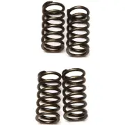 2008-2012 KAWASAKI EX250 Ninja 250 R Motorcycle EBC CSK Clutch Spring Upgrade