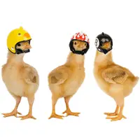 在飛比找蝦皮購物優惠-鸚鵡鳥帽子雞頭盔保護雞頭盔小雞母雞帽鳥帽子頭套寵物用品