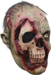 Flesh Decaying Walker Undead Ghoulish DELUXE ADULT LATEX PUTRID ZOMBIE MASK