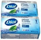 Dial Refresh and Renew Antibacterial Spring Water Deodorant Bar Soap 4 Oz