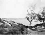 View of Lavender Bay Sydney New South Wales 1880 Old Historic Photo