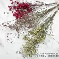 在飛比找松果購物優惠-進口乾燥天然水晶草-乾燥花圈 乾燥花束 拍照道具 手作素材 