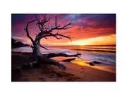 Beach Sunset Canvas Print