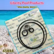 O-Ring Kit For Doughboy - Cyclops II Pump 65048 Replacement GO-KIT48 By Liberty