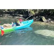 Save 20.01%! Tandem Kayak Rental for Kings Bay Three Sisters Springs