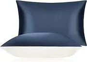 DISANGNI 100% Mulberry Silk Silk Pillowcase, Used for Hair and Skin, Envelope Type, Silk on one Side and Tencel on The Other Side (1pc Standard Size 20" x26" Blue)
