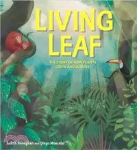 在飛比找三民網路書店優惠-Plant Life: Living Leaf：The St