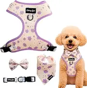 Harness Set with Collar+Bow TIE and Bandana