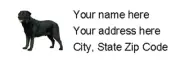 LABRADOR RETRIEVER - Return Address Labels - 1" x 2 5/8" - Personalized