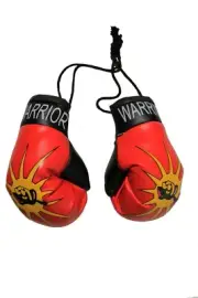 WARRIOR MOHAWK OKA Native Flag Mini BOXING GLOVES .. New