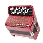 62 Keys Accordion 60 Bass Button Accordion Kids Educational Musical Instrume DOB