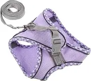 DRESSOOS 1 Set Dog Harness Set with Leash for Small Pets Comfortable Vest Design Soft Material Lightweight and Portable for Outdoor Activities Xs