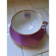 Vintage Teacup and Saucer Fine Porcelain H&C Hass and Czjjek Coronado Pink Band