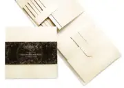 GRAPHIC 45 "IVORY TRIFOLD WATERFALL FOLIO" ALBUM 7.5X7.5 HTF SCRAPJACK'S PLACE