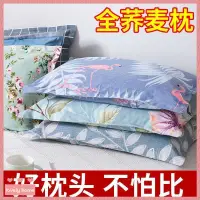 在飛比找蝦皮購物優惠-【Lovely home】蕎麥皮枕頭單人傢用學生宿捨簡約喬麥