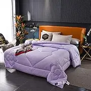Silk Comforter, Long-Strand Mulberry Silk Filled, All-Cotton Thickened Quilted Comforter, All Season Luxury Down Comforter, Lightweight Breathable Duvet (C 180x220cm(5kg))