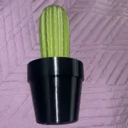 Cactus Toothpick Dispenser Holder 3D Printed With 117 Holes Practical Home Decor