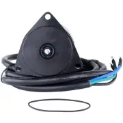New Tilt Trim Motor For Evinrude Johnson 1980-1981 6206 582048 387277 4372840B