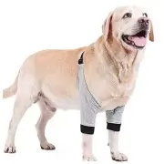 Dog Elbow Protector for Calluses,Dog Recovery Suit for Front Legs,Cone XL Grey