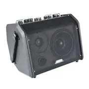 Aroma 80W Rechargeable Acoustic Guitar Amplifier AG80A